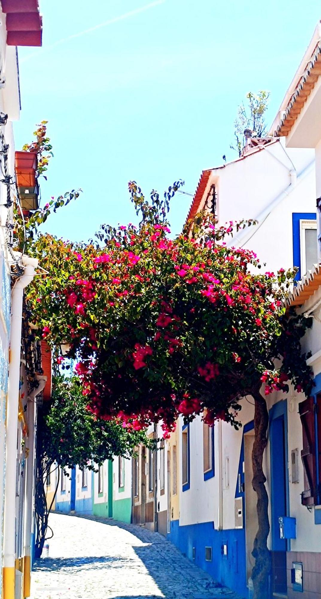 Apartamento luminoso em Ferragudo, Praia e Golfe Ferragudo (Faro) Exterior foto