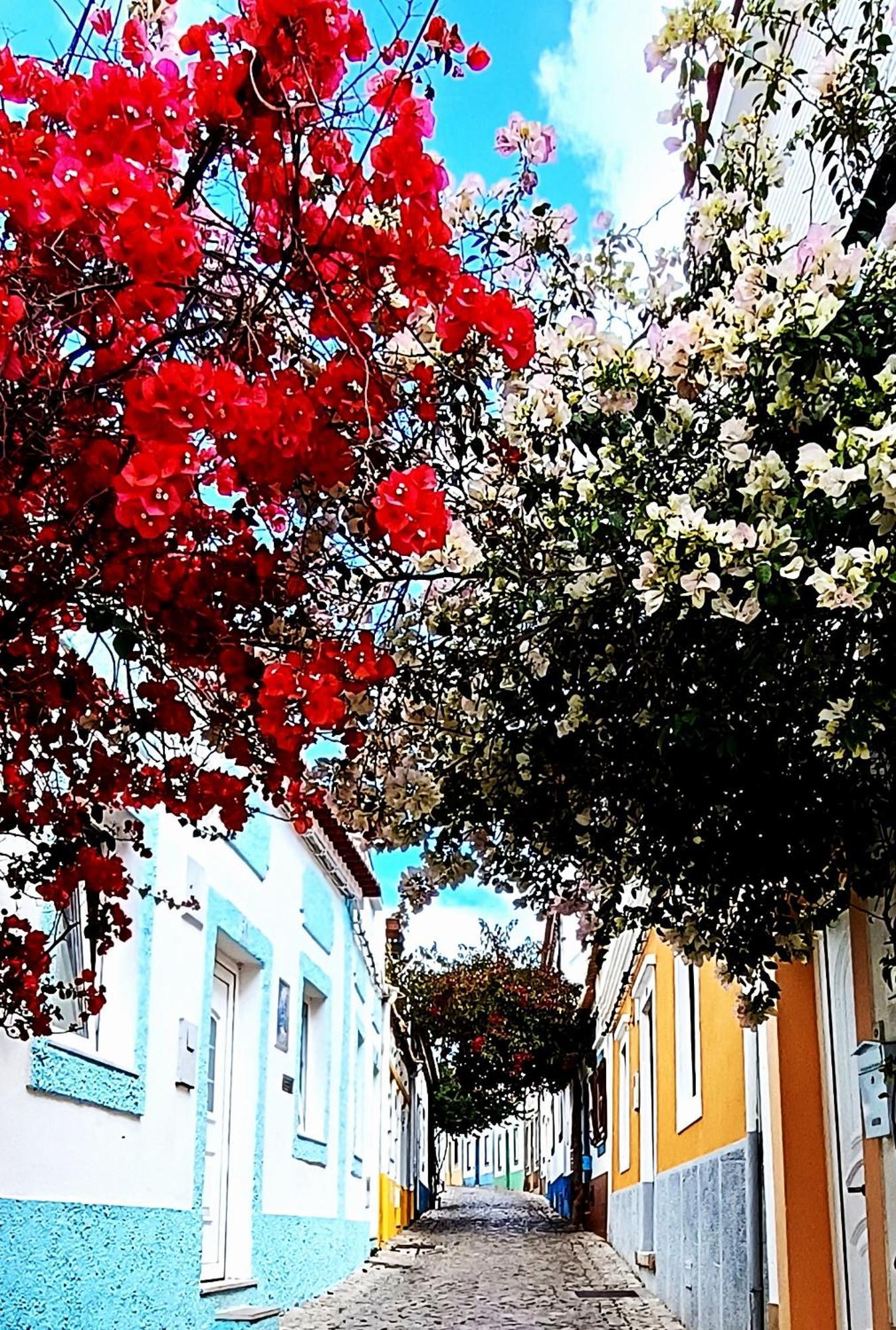 Apartamento luminoso em Ferragudo, Praia e Golfe Ferragudo (Faro) Exterior foto