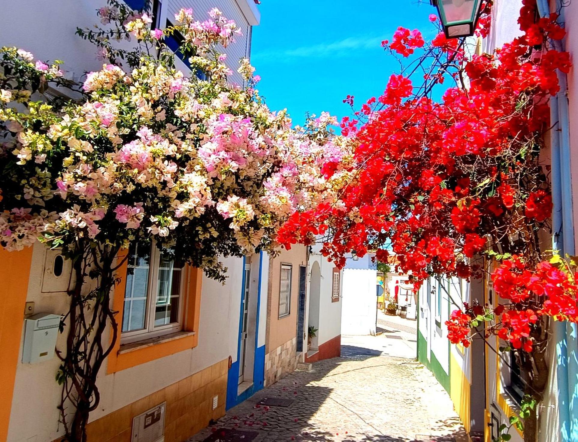 Apartamento luminoso em Ferragudo, Praia e Golfe Ferragudo (Faro) Exterior foto